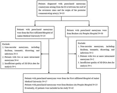 Increased Carotid Siphon Tortuosity Is a Risk Factor for Paraclinoid Aneurysms